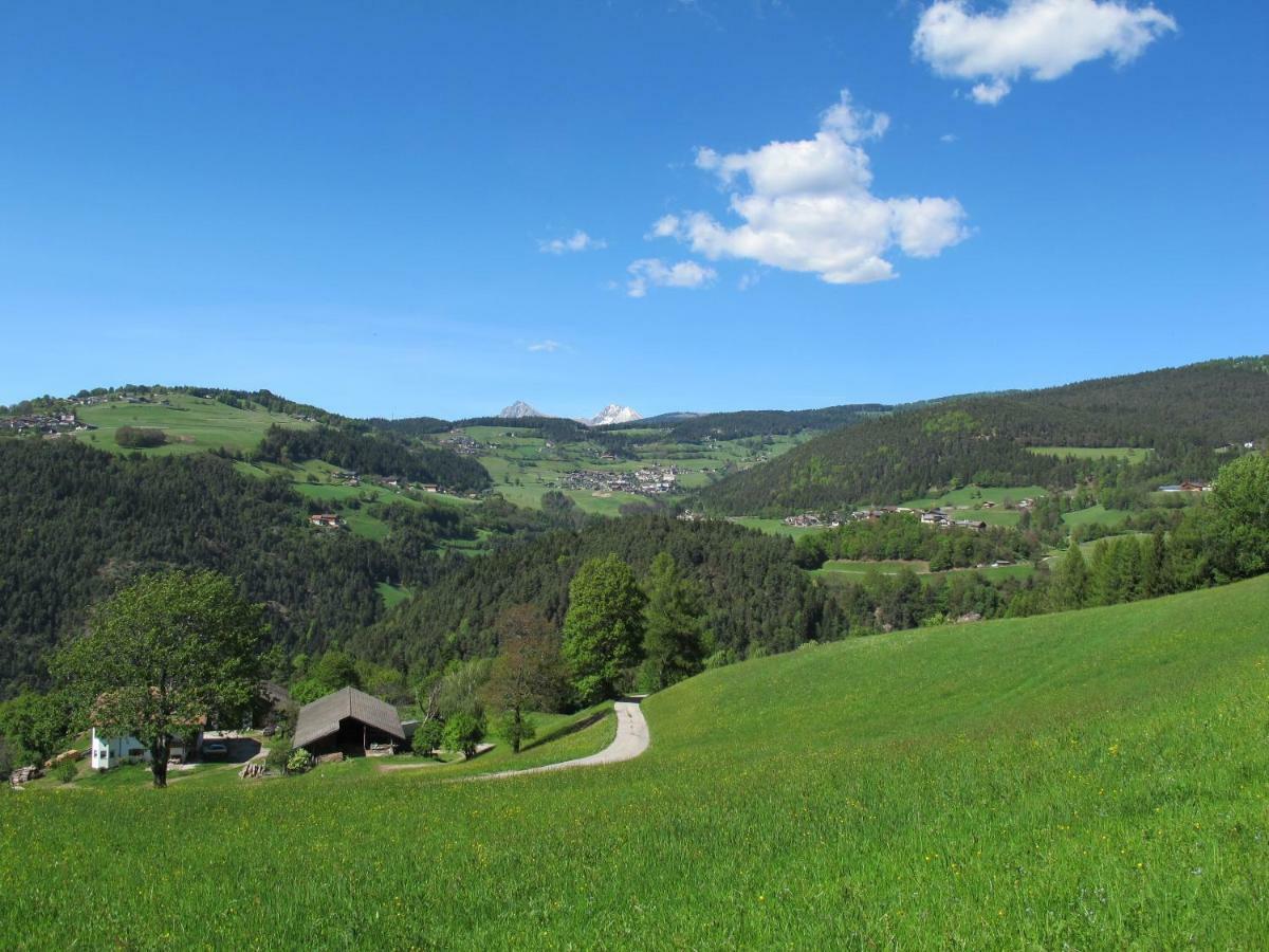 Gasserhof Chalets Мельтина Экстерьер фото